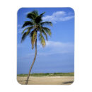 Search for summer scene magnets Nature