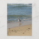 Search for new york sea postcards Sunset