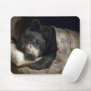 Search for pillows mousepads Cute
