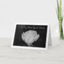 Search for husband congratulations cards Rose