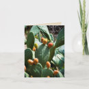 Search for prickly cards Cacti