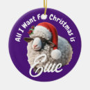 Search for wears christmas tree decorations Cute