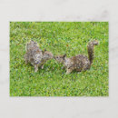 Search for pixels postcards Digital