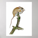 Search for mouse tree art Watercolor