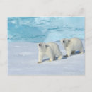 Search for cups postcards Nature