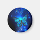 Search for dark background magnets Black
