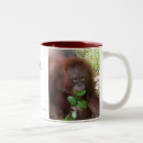 Search for rain forest mugs Wildlife