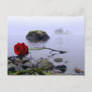 Search for washed postcards Beach