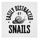 Search for distraction posters Animal
