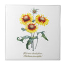 Search for sunflower kitchen tiles Nature