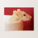 Search for rat puzzles Photography