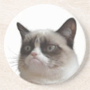 Search for glare Grumpy