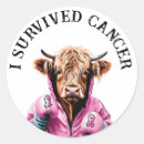 Search for survived breast cancer stickers Pink