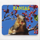 Search for squirrel mousepads Blue
