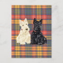 Search for black scottie postcards Animals