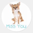 Search for chihuahua puppies stickers Chiwawa