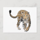 Search for green leopard postcards Watercolor
