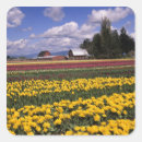 Search for crop stickers Red