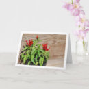 Search for chili cards Peppers