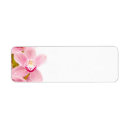 Search for orchid return address labels Pink