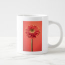 Search for gerbera mugs Bouquet