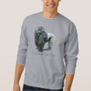 Search for silverback gorilla Africa