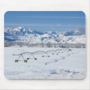 Search for rob mousepads Rural