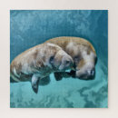 Search for manatee puzzles Animal