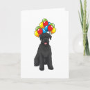 Search for schnauzer cards Dog lover