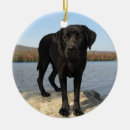 Search for black lab puppy christmas tree decorations Labrador retriever