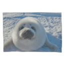 Search for seal pillowcases Animal