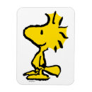 Search for pattern design magnets Cartoon