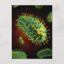 Search for virus postcards Science