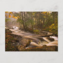 Search for action postcards Nature