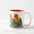 Search for fischer mugs Agapornis