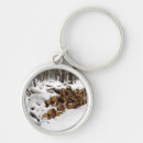 Search for log key rings Winter
