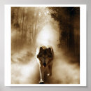 Search for wolfdog Wolves