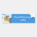 Search for collie dog bumper stickers Lassie