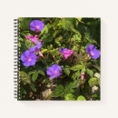 Search for morning glory notebooks Watercolor