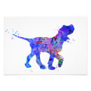 Search for italiano posters Italian spinone