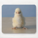 Search for 1 year old electronics Birds