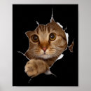 Search for sweet cat posters Cats
