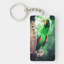 Search for colourful parrot key rings Bird