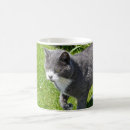 Search for grey white cat mugs Feline