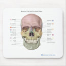 Search for anatomy skull electronics Human