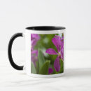 Search for hopkins mugs Attraction