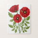 Search for poppy puzzles Poppies