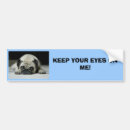 Search for pet pug bumper stickers Animals