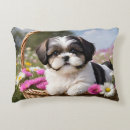 Search for shih tzu cushions Flowers