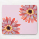Search for gerber daisy electronics Pink